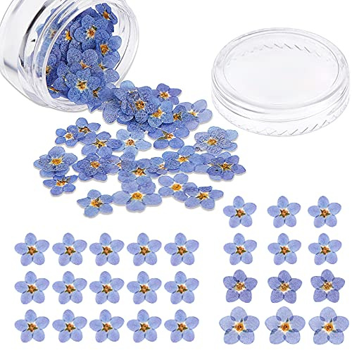 Nuanchu 100 Fiori Pressati Secchi Naturali Non Ti Scordar di Me Fiori Secchi per Resina per Gioielli Candele Fabbricazione di Carte Ornamenti in Resina DIY Decori Manicure Floreali