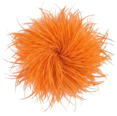 Baesics Broche à plumes pour femme - Plume d'autruche Fluffy - Broche à clipser - Vintage pour mariage, mariée, carnaval, blazer
