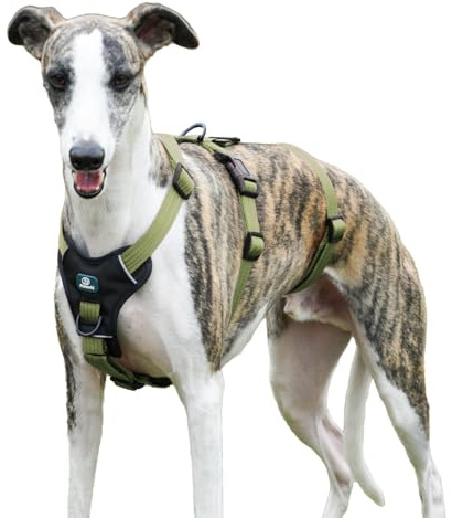 Paworld Arnes Antiescape Perro, Arnes Antitirones Perro, Arnes Perro Mediano, Ajustable, Duradero, Transpirable, Sin Estrangulamiento, Entrenamiento y Paseo al Aire Libre (Verde, M)