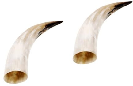 GETAJGHSD 2pcs Retro Horn Dried Flower Vase Unique Wall Hanging Decor for Home Vintage Horn Craft Wall Planter for Individuality Any Interior Design