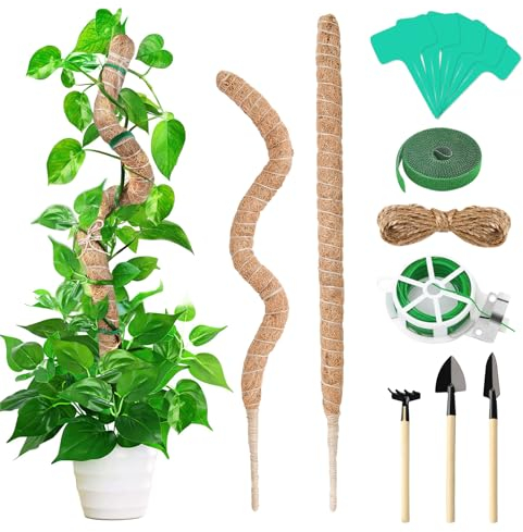 Anevios 2 Pièces Tuteur Plante Grimpante 120cm avec Outils de Jardinage à Main Pliable Bâton de Mousse Tuteur Coco Monstera Flexible pour Plantes d'intérieur Support de Plantes Grimpantes