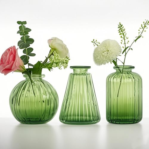Kleine Vasen für Blumen EylKoi-3pcs/set Bud Vase Glas Grün Verschiedene Formen, Vintage Hochzeit Dekor, Bud Vasen in Bulk Vasen für Mittelstücke Kleine Glas Single Flower Vasen HomeEventsTable, 1#