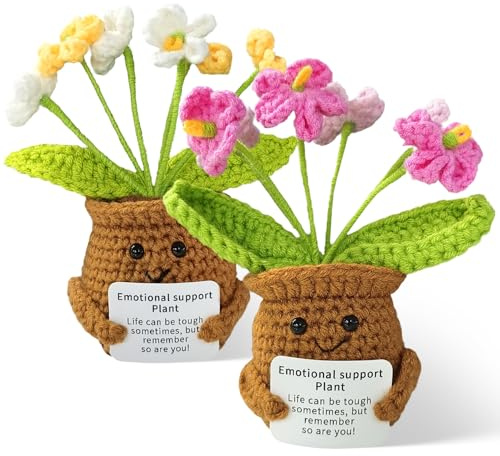 Syhdfxknp 2 Stück Pocket Hug Gehäkelte Blumen Positive Geschenke Emotional Support Plant Vergissmeinnicht Gute Besserung Geschenke Danke Geschenk Schön DASS Es Dich Gibt Geschenk Schreibtisch Deko