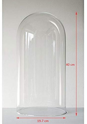 EMH Cloche en verre - Bocal d’exposition Grand format - 40 cm