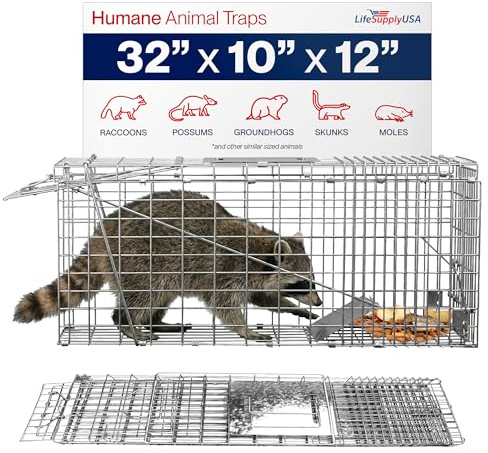 32 Humane Live Animal Trap Collapsible Heavy Duty Cage for Raccoon, Possum, Cat Trap for Stray Cats, Armadillo, Groundhog, Skunk, Squirrel & Rabbit Professional Catch & Release by LifeSupplyUSA