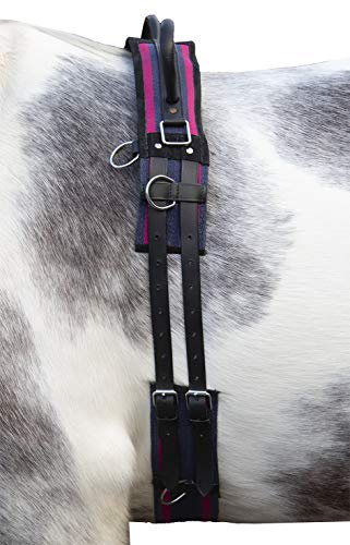 HKM Canvas Longergjord med dubbla handtag, Marinblå/Passion, Mini Shetland