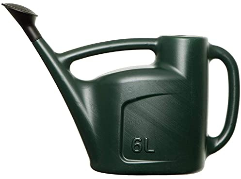 AMOS Watering Can with Rose Spout for Indoor & Outdoor Plants Garden Hydrate Plastic Water Sprinkler (6L, Green)