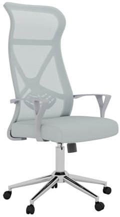 naspaluro Ergonomic Office Chair Executive Desk Chair, Office Chairs for Home, Big High Back Computer Chair, Desk Chairs with Lumbar Support(Grey)