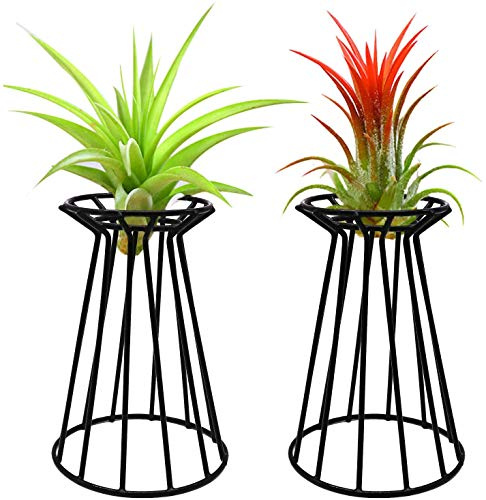 MCDSAJ 2 soportes para plantas de aire de 6 pulgadas, soporte de hierro negro para plantas en casa, oficina, idea de regalo, mesa interior, grandes contenedores Xerographica para plantas de aire