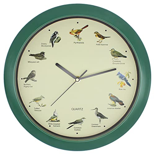 Belinlen Singing Bird Wall Clock, Green, 12 Inch