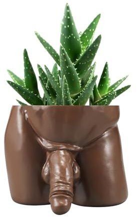 Body Plnater Pot Penis Planter Cool Decor Pot, Male Plant Pots — Unique Pot for Succulents and Cacti, Gag Gift White Elephant Gift (Brown, Large)