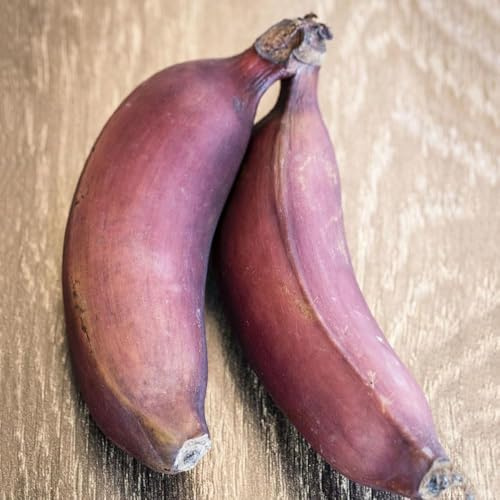 80 piezas semillas banano semillas de plátano de plátano resistente, resistentes al invierno para balcones,