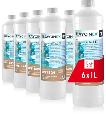 Höfer Chemie 6 x 1 L Metall-Ex für Pool - entfernt Metall - und Kalkablagerungen und senkt die Gesamthärte - für kristallklares Wasser