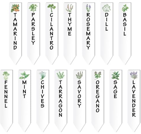 arricraft 15 étiquettes en Acrylique pour Plantes à Herbes Aneth Basilic Fenouil Menthe Marqueurs de Jardin avec Nom et Motif Étiquettes de Jardin Claires Panneau pour Graines Fournitures