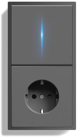 BSEEDLIFE Prise avec Interrupteur Mural,1 Gang 1 Voie 150 * 80mm,Interrupteur avec Prise Cadre PC et Indicateurs LED,Installation Facile,Gris