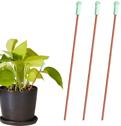 Indicatore 'acqua di terra, tester di umidità del terreno, controllo 'umidità botanica con punte porose, per il monitoraggio della crescita, set di bastoncini da lettura per coltivazione