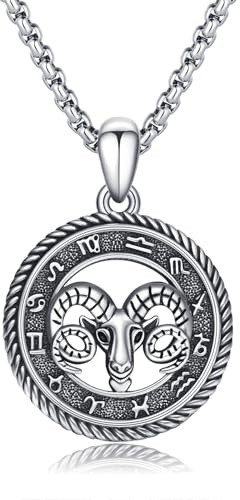 PARYFO Collier constellation 12 signes du zodiaque Pendentif Collier horoscope Chaîne oxydée Pendentif Constellations Astrologie Collier Anniversaire Cadeaux pour Femmes Hommes Unisexe, 22MM, Argent