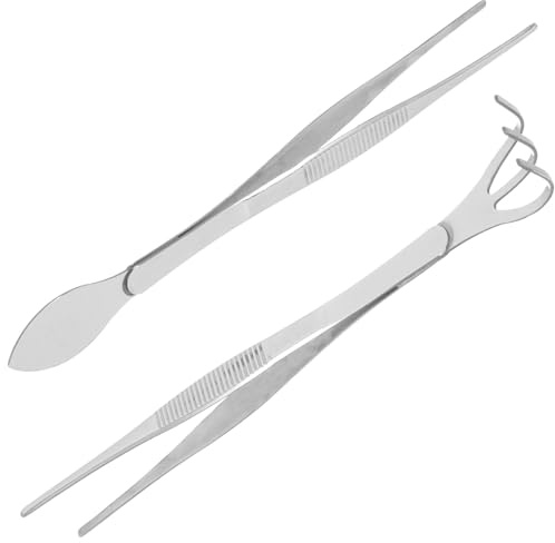 CALLARON Rastrillo Pequeño y Pinzas Rectas de Acero Inoxidable para Manualidades y Modelado de Bonsáis, Herramientas para Aflojar Tierra y Recoger Brotes