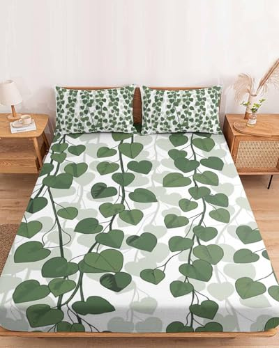 Queen Fitted Sheet Deep Pocket Bed Sheets with Elastic,Spring Plants Ivy Soft Brushed Microfiber Hotel Luxury Bed Sheet Set,Green Heartleaf Philodendron Decorative Mattress Cover with 2 Pillowcases