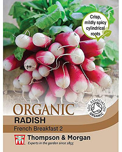 Radish 'French Breakfast 2' Organic Seeds Hardy Vegetable Annual Garden Plants Easy to Grow Your Own 1 Packet of 500 Seeds by Thompson and Morgan