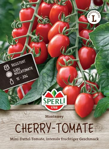 Sperli Cherrytomatensamen Monterrey, F1 83247 – Mini-Dattel-Tomate, intensiv fruchtiger Geschmack - Inhalt für 8 Pflanzen - Samen Gemüse - Gemüsesamen