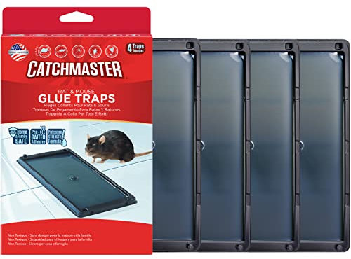 Catchmaster Piège à Rat | 4 Pièges Collants | Solution Efficace Contre Souris | Raticide Professionnel
