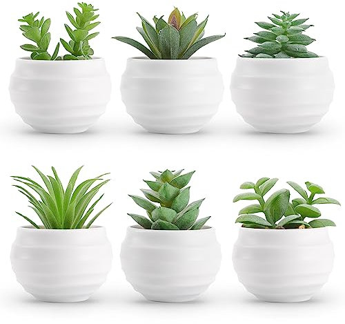 Der Rose Set of 6 Succulents Plants Artificial in Pots Small Fake Plants for Bedroom Aesthetic Living Room Office Shelf Bathroom Decor