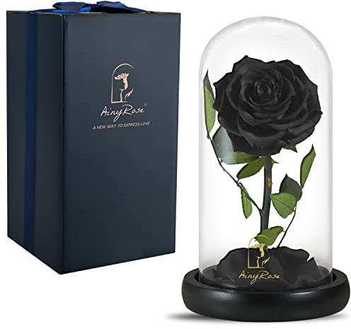 SW Forever Preserved Real Black Rose Flower Birthday Gift for Mom Women,Valentines Eternal Flower in Glass Gifts for Mothers Day Christmas Anniversary Birthday (Black)