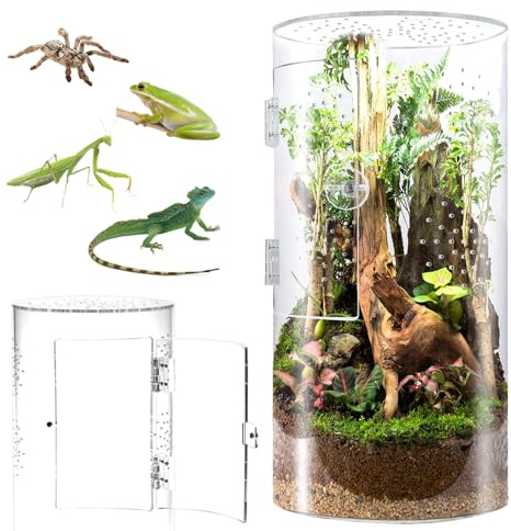 Cylindrical Jumping Spider Enclosure 30x15 cm | Acrylic 360° Panoramic Terrarium, Vivarium with Ventilation Holes, For Stick Insect, For Tarantula, Snail, Praying Mantis
