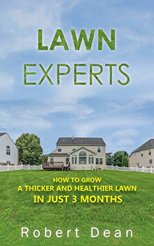 Lawn Experts: How to Grow a Thicker and Healthier Lawn in Just 3 Months