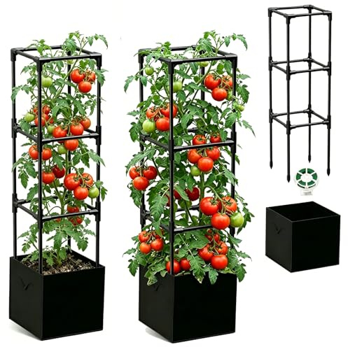 Enrejado de frutas de dragón para pepinos y frutas cortadas (1 unidad) (2)