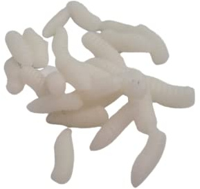 25pcs Artificial Maggots Buoyant Pop Up Fluorescent Fluoro Fake Maggots for Fishing Soft and Lifelike Bait Trout and Carp Fishing Tackle (White)