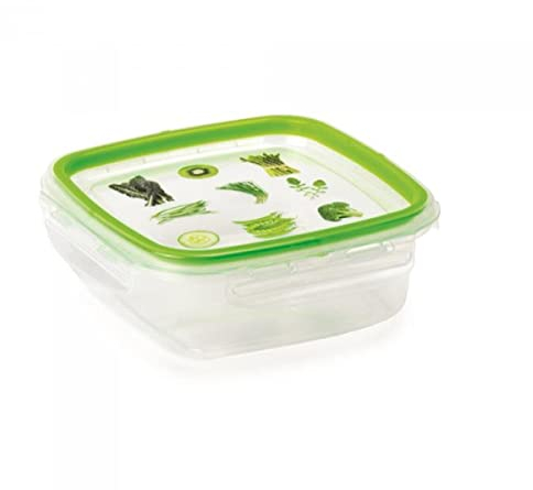 Snips |Set 2 Contenitori Per Alimenti 0,50 LT | Quadrato|2 x 0,50 LT |Made in Italy|Bpa Free