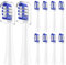 Replacement Toothbrush Heads Compatible with Colgate 360 Deep Clean Battery Powered Toothbrush, 10 Pack, White