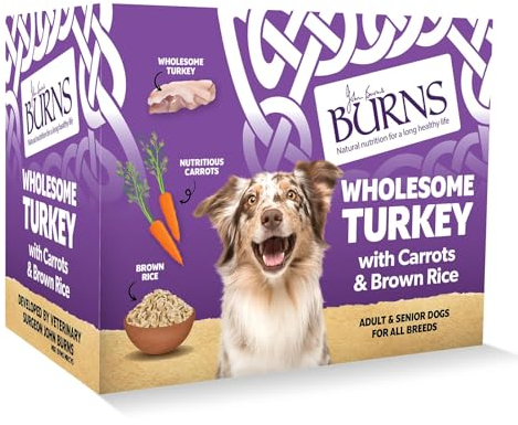 Burns Pet Nutrition Natural Wet Dog Food For Adult & Senior Dogs, Wholesome Turkey & Potato 6 x 395 g