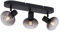 Qazqa - Modern Runde Deckenleuchte I Deckenlampe I Lampe I Leuchte schwarz mit Rauchglas 3-flammig Spotbalken-flammig - Teddy I Wohnzimmer I Schlafzimmer - Metall Oval I Rund - LED geeignet E14