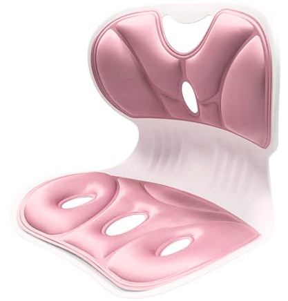 Support de Chaise Ergonomique pour la Posture, Support Lombaire