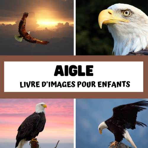 Livre d'images pour enfants - Aigle: Découvrir les aigles en image - Enfants de 2 à 5 ans