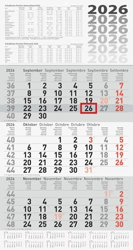 BRUNNEN 3-Monatskalender '26 | grau, 300×560 mm