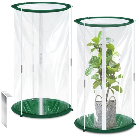 Mini Serres 50x30 cm, Lot de 2 Tente d’Hivernage pour Plantes, Petite Serre pour Légumes, Fleurs et Champignons,Serre Transparente en Film Plastique, Pop-Up
