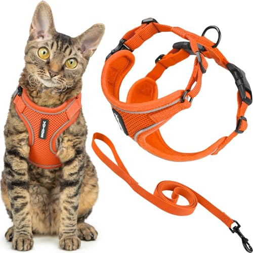 Voyager - Set pettorina e guinzaglio per gatti a prova di fuga con cuciture riflettenti, manico in neoprene da 1,5 m, supporta gatti piccoli, medi e grandi, gattini da passeggio, by Best Pet Supplies