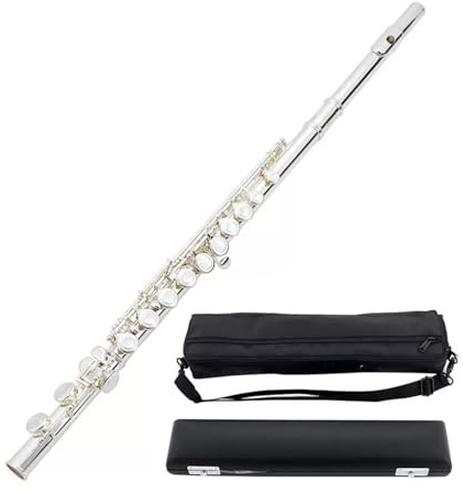 tvärflöjt instrument Nybörjarflöjt Professionell flöjt C-nyckel