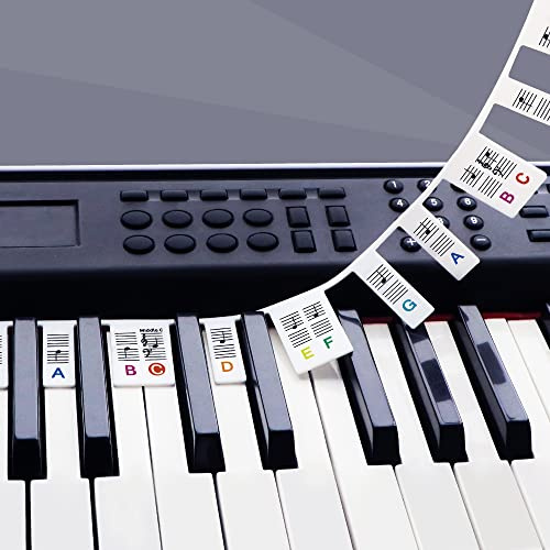 Removable Piano Key Stickers Note Labels for 88 Key Full Size GICUNK Silicone Reusable Piano Keyboard Stickers for Beginners Comes with Box(Color)
