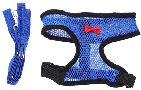 SEWOART Bequemer Hühner Laufgürtel für Gänse Hähne Verstellbares Hühner Netzgeschirr Strapazierfähig für Outdoor Aktivitäten