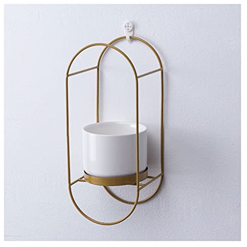 sararui Indoor Floating Hängende Pflanzgefäß, Metallpflanzenaufhänger Einfache Moderne Pflanzer, Blumentopf Pflanzenhalter in ovaler Form Passt für 3,5 Zinch Pflanzer,Nein Anlage inkl (Color : Gold)