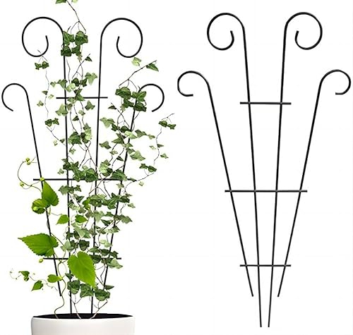 MASINIES Lot de 2 treillis de plantes grimpantes pour plantes grimpantes - Piquets de support de jardin pour intérieur et extérieur - Pour plantes grimpantes, fleurs et légumes MAS-CPSS-2