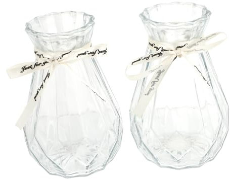 HAMPPLIES 2stücke Glasvase Für Trockenblumen Hydroponische Blumenvase Dekorative Tischvase Für Hochzeiten Und Wohnräume Transparent Klassische Schönheit Für Blumenarrangements