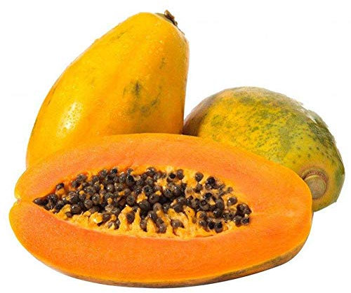 Pawpaw Graines 10 pcs Papaye Vert Organique Arbre Fruits Graines pour La Maison Jardin En Plein Air Cour Ferme Plantation