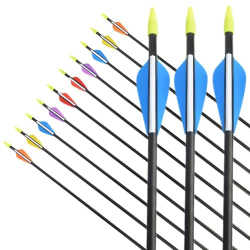 limaity 12pcs 31 Pfeile 700 Spine für Bogenschießen Glasfaser Bogenpfeile mit Kunststoffbefiederung Jagdpfeile für Recurvebogen und traditionellen im Freien (6St, Blau und weiß)