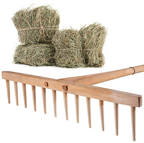 KADAX Rastrillo de heno con Mango Largo de Madera, rastrillo Ancho para jardín, parterres, césped, rastrillo de jardín, rastrillo, rastrillo de césped, Herramienta de jardín, Herramientas (Madera)